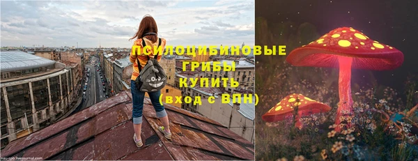 амф Горно-Алтайск