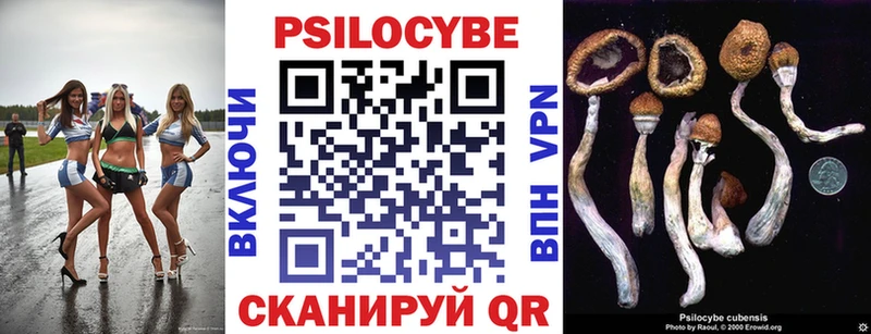 Купить  Кушва  Псилоцибиновые грибы Psilocybe 